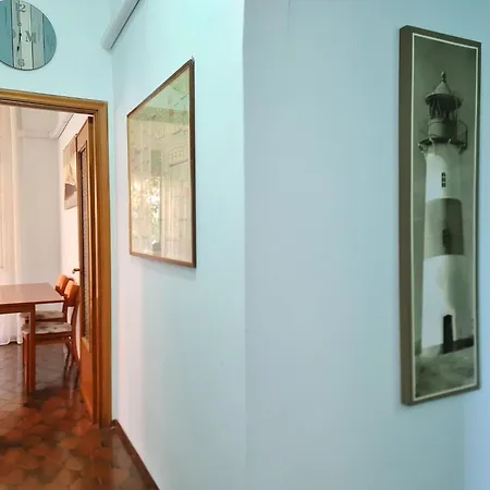 White Gull * Rapallo