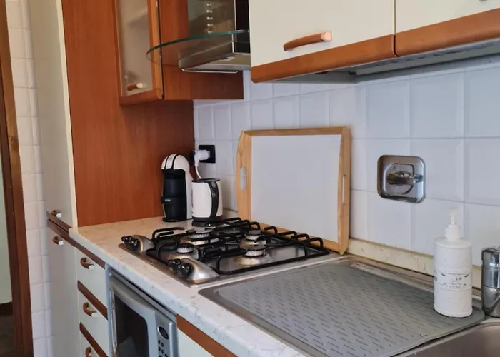 White Gull * Rapallo